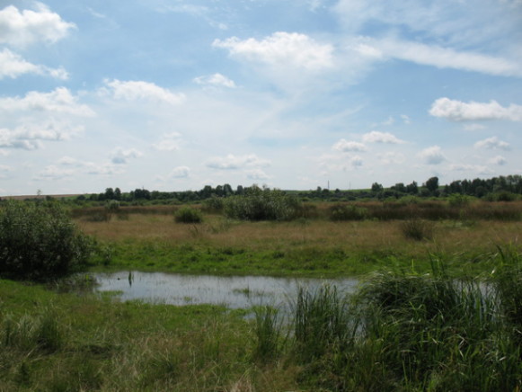 Image - Berestia land landscape.